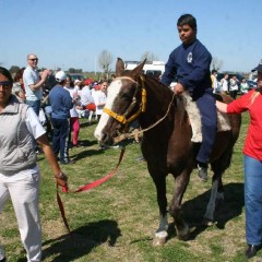 El Intendente presenció un encuentro de escuelas de equinoterapia