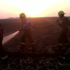 Informe de Prensa Bomberos Daireaux