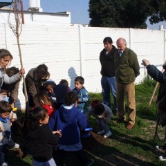 Nenes del Jardín Merceditas plantaron un árbol