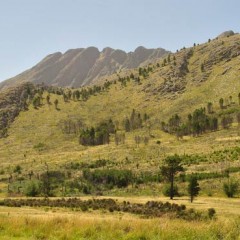 VIAJE A SIERRA DE LA VENTANA