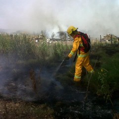 INFORME DE PRENSA BOMBEROS DAIREAUX