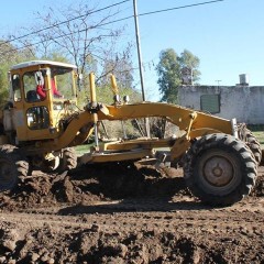 TRABAJOS EN ARBOLEDAS