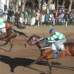 El Club Hípico Fortín Tordillo de Daireaux corre el 16 de noviembre