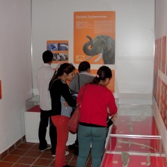 Museo de Historia y Ciencias Naturales