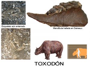 5-Toxodon.jpg