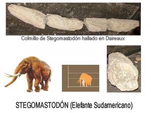 7-Stegomastodon.jpg