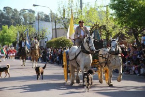 20140929-02_Desfile_Civico_Institucional_Daireaux