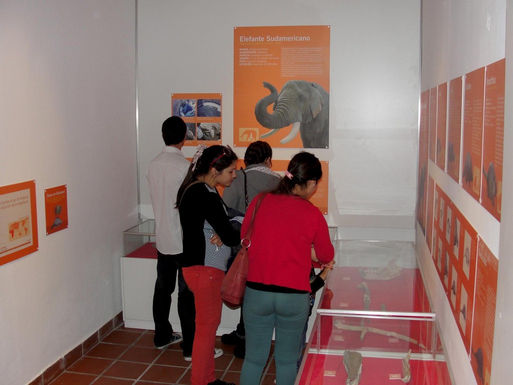 Sala de Paleontología del Museo de Historia y Ciencias Naturales de Daireaux